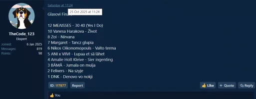 TheCode_123 glasanje u finalu.webp