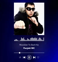 PANJABI MC.webp