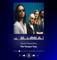 THE TEMPER TRAP.webp