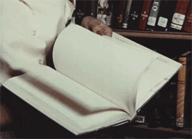 E179CA0B-EACB-4FA3-8B77-A680E73C54FF.gif