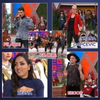 PZE23_Sarenica.webp