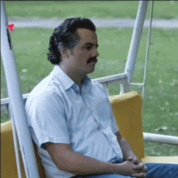 giphy (1).gif