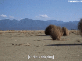 2B105E42-4B2B-42E5-B08E-AF4E683E0555.gif
