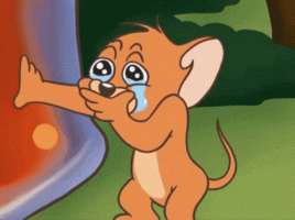 973518E3-56C2-4926-B5DB-A0A69D033FDE.gif
