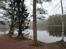 20251222_130953.webp 20251222_130953.webp