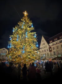 20251221_190009.webp 20251221_190009.webp