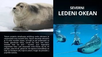 Severni ledeni okean 3.webp