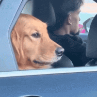 ezgif-4df47f81acbdc7a4.gif