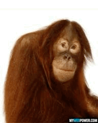 4CAF3C78-D08A-4D1D-BE93-4549F1D9C141.gif