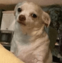 1000003236.gif