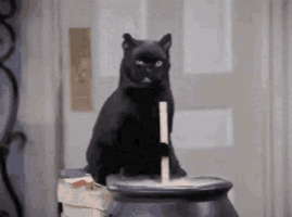 1000000948.gif