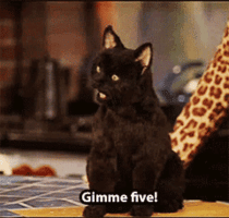 sabrina-the-teenage-witch-salem-saberhagen.gif