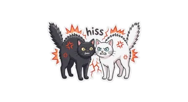 1000024040.webp