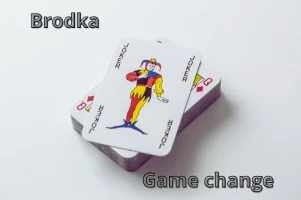 11. Brodka - Game Change.webp