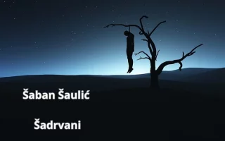 33.Šaban Šaulić - Šadrvani.webp