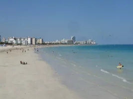 fl1.jpg