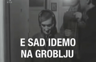 IMG_4564.gif