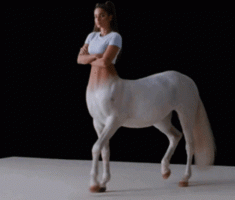 1000015328.gif