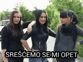 šljunkare-meet-again.gif