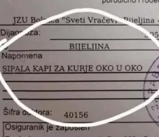 669.jpg