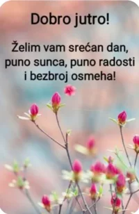 20230806_072628.webp