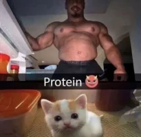 protein.png