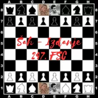 chess (1).webp