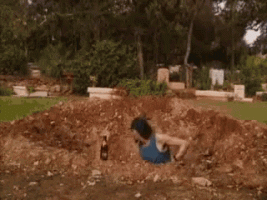 1000017772.gif