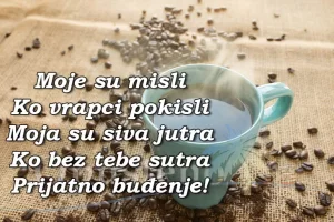 IMG_3770.jpeg
